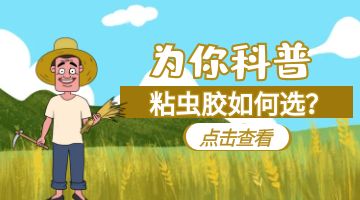 粘蟲膠